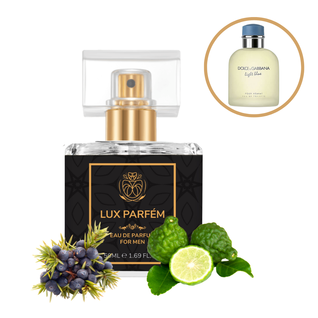 298 Lux Parfém  DOLCE & GABBANA - LIGHT BLUE POUR HOMME